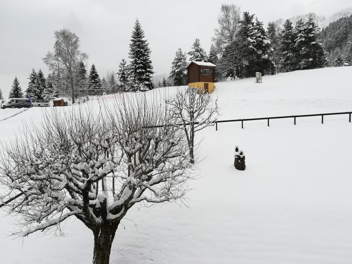 Romantic Chalet-Style Flat With Mountain View Torgon Exterior photo